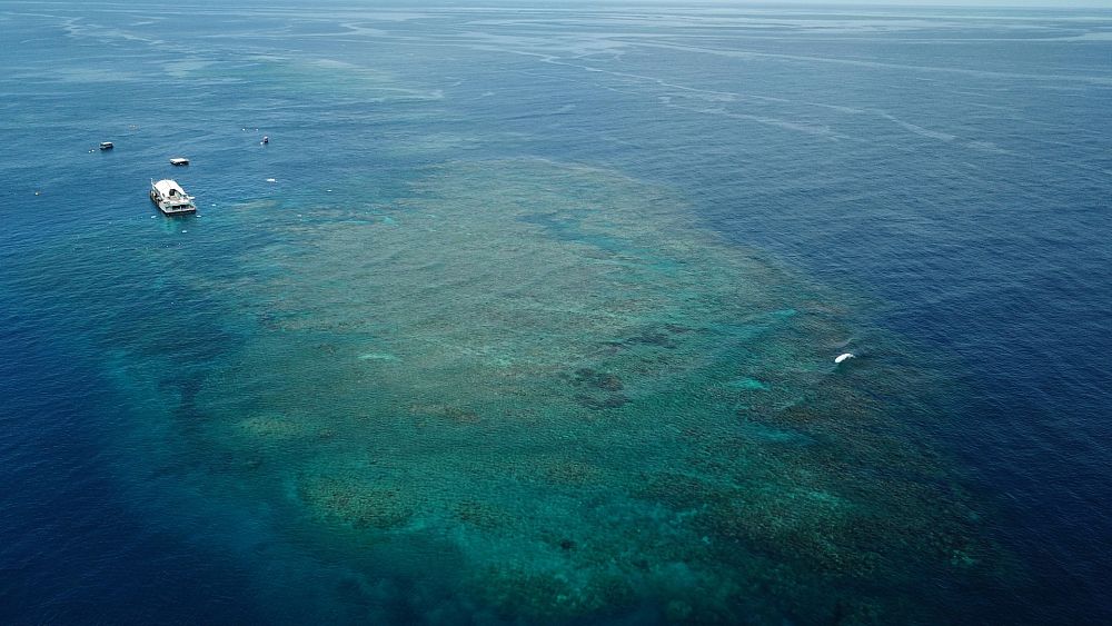 Wielka Rafa Koralowa unika zagrożenia „w niebezpieczeństwie”, ale UNESCO ostrzega przed poważnym ryzykiem związanym ze zmianami klimatycznymi