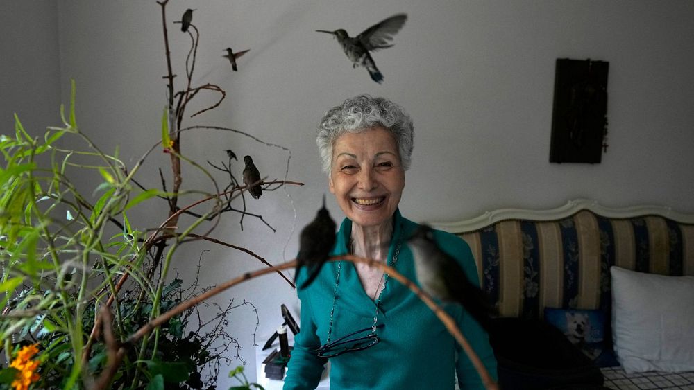 „Napisało mi nowe życie”: poznaj Meksykankę, która otworzyła swoje serce na kolibry