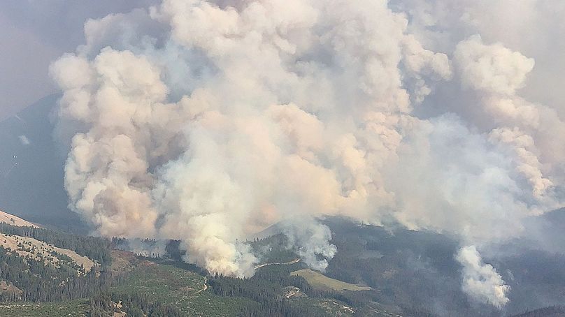BC Wildfire Service / materiały informacyjne za pośrednictwem REUTERS