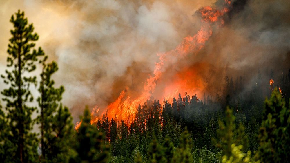 Rekordowy sezon pożarów w Kanadzie: co powoduje pożary i kiedy się skończy?