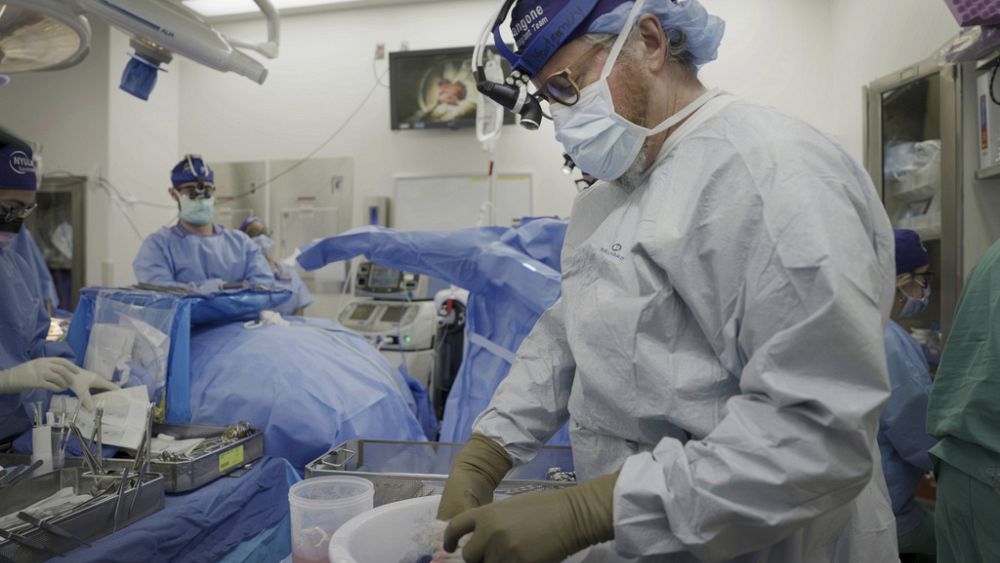 Nerka świni pracuje w ciele dawcy przez ponad miesiąc, przygotowując się do przeszczepów ze zwierzęcia na człowieka