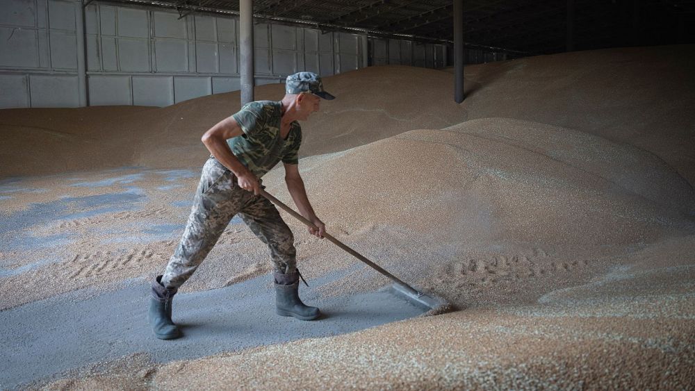 Walczący ukraiński rolnik opowiada o swojej walce o utrzymanie się na rynku