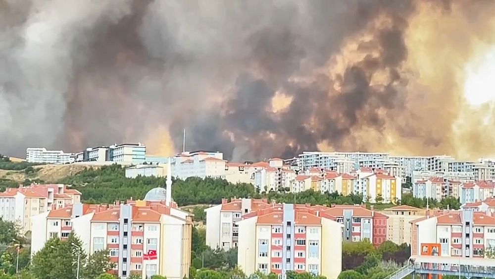 Ankara ewakuuje ponad 1200 osób w związku z rozprzestrzenianiem się pożarów w Grecji na Turcję