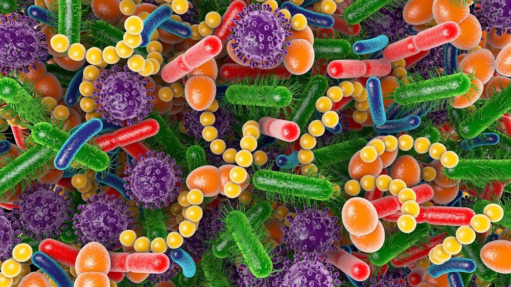 Naukowcy uważają, że znaleźli związek między bakteriami w naszych jelitach a tym, jak szybko się starzejemy