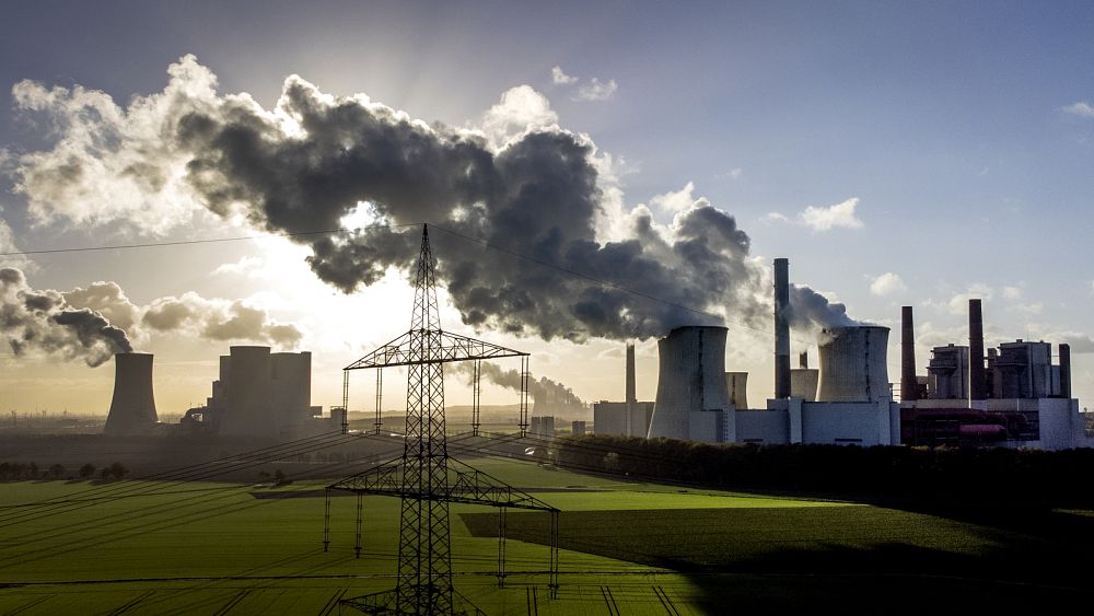 Organizacje pozarządowe żądają przeglądu „niewystarczających” celów UE w zakresie redukcji emisji