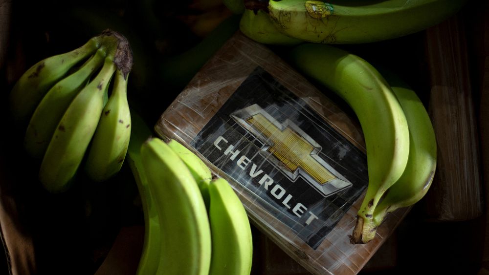 Rekordowy transport kokainy ukryty w przesyłce ekwadorskich bananów przechwycony w Hiszpanii