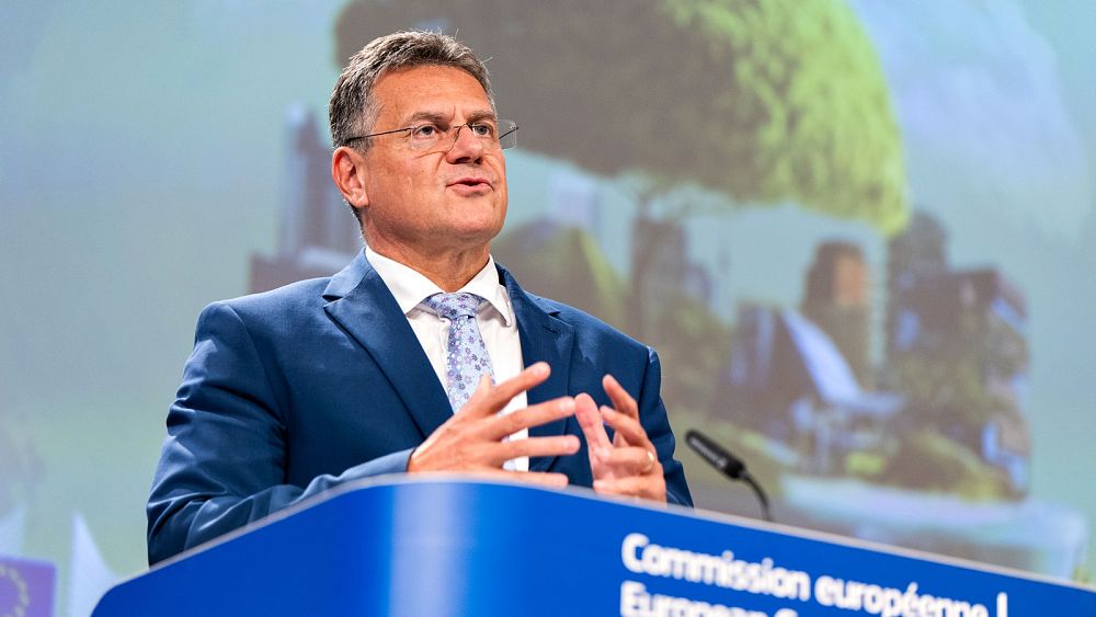 Wdrażanie Zielonego Ładu będzie „wyzwaniem” – ostrzega Maroš Šefčovič, nowy unijny car ds. klimatu