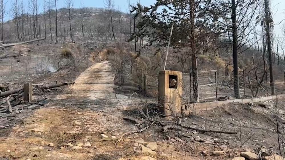 „Mój dom został całkowicie spalony”: greccy mieszkańcy wioski wracają do domu, aby zobaczyć zniszczenia spowodowane przez pożary