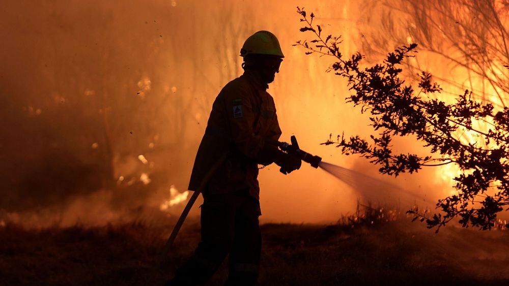 „Przepis na katastrofę”: 10 krajów UE ograniczyło zatrudnienie strażaków pomimo pogłębiającego się kryzysu klimatycznego