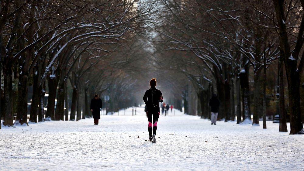 Czy tej zimy w Europie będzie więcej śniegu?  Oto, jak El Niño może wpłynąć na naszą pogodę