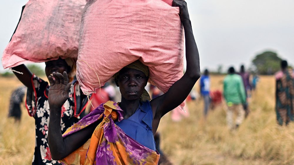 Globalne bezpieczeństwo żywnościowe: brak większego szoku na horyzoncie pomimo wojny na Ukrainie i ekstremalnych upałów, twierdzi OECD