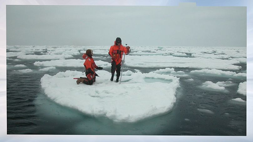 Międzynarodowa Fundacja Polarna