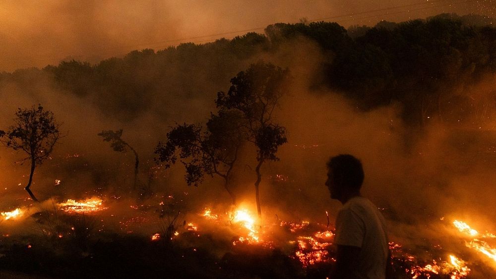 Premier Grecji twierdzi, że kraj prowadzi „wojnę” ze zmianami klimatycznymi po lecie pełnym pożarów i powodzi