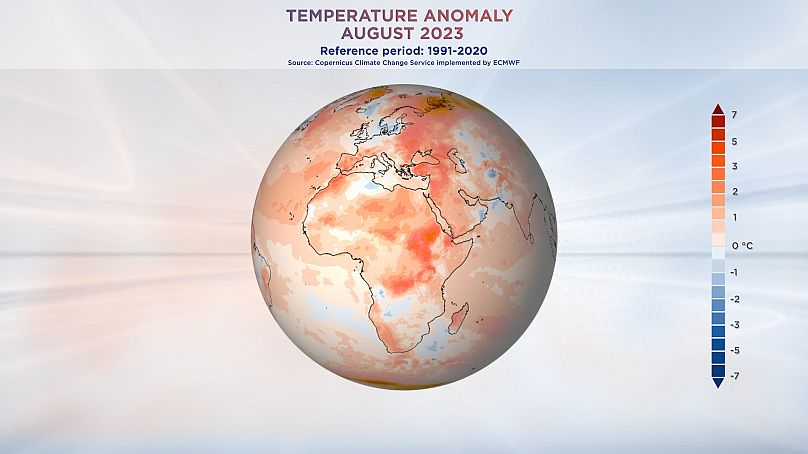 Usługa Copernicus dotycząca zmian klimatycznych realizowana przez ECMWF