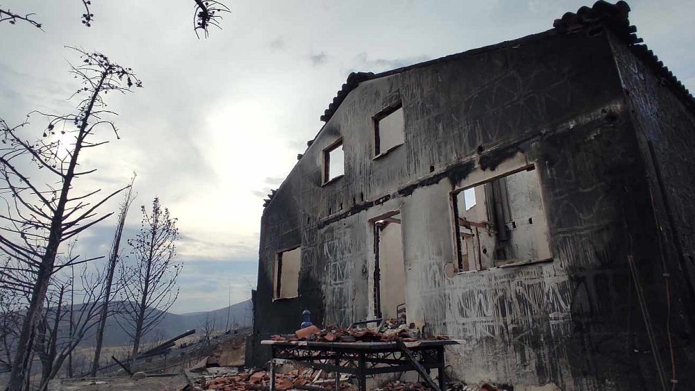 Greccy rolnicy z trudem odbudowują się po niszczycielskich pożarach