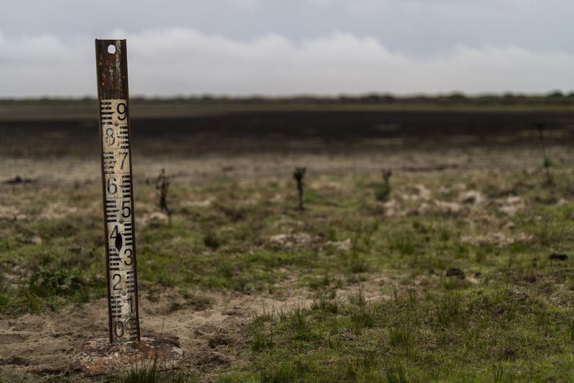 AP Photo/Bernat Armangue