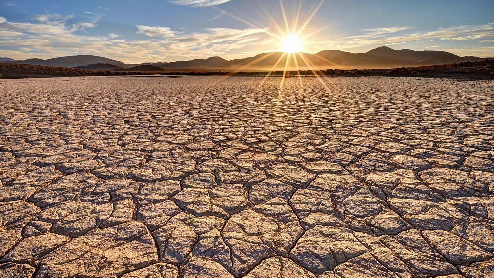 Modele klimatyczne ujawniają, że „potrójne uderzenie” ekstremalnych temperatur może sprawić, że Ziemia nie będzie nadawała się do zamieszkania przez ludzi