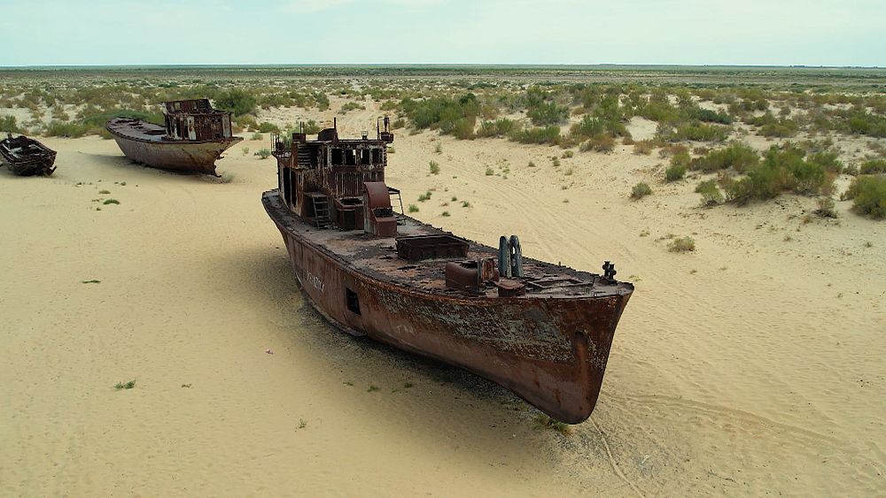 Ponowne zazielenianie pustynnego regionu Morza Aralskiego w Uzbekistanie