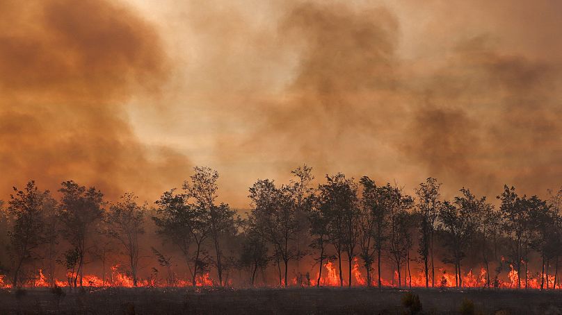 REUTERS/Alexandros Avramidis