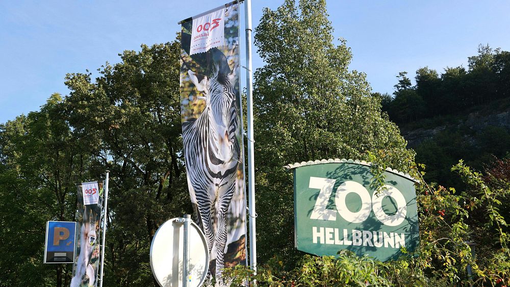 Zookeeper zadeptany na śmierć przez nosorożca w austriackim Salzburgu