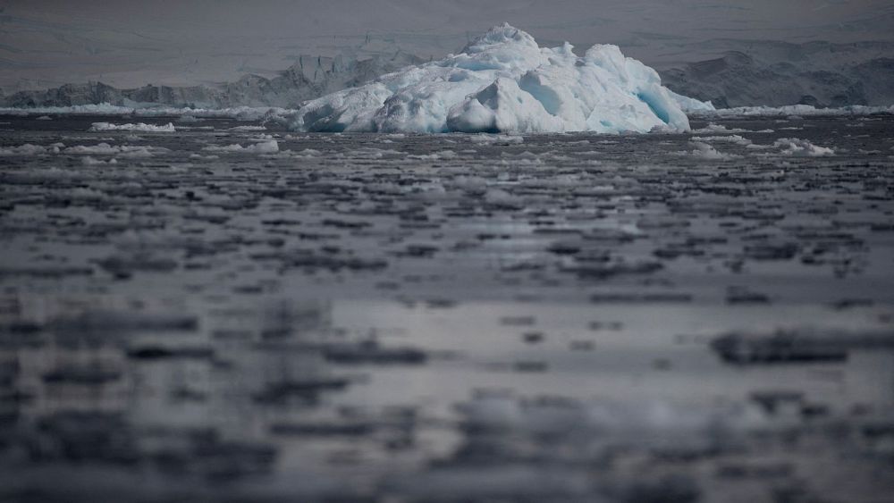 „Ekstremalnie rekordowy rok”: Naukowcy dostrzegają wpływ zmian klimatycznych na lód morski Antarktyki