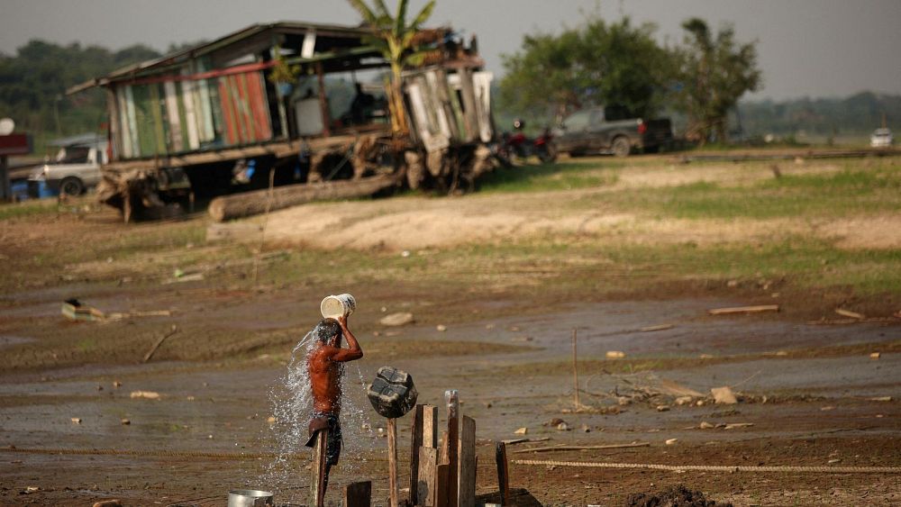 Co El Niño robi z Amazonią?  Brazylijczycy z trudem zarabiają na życie w wyschniętej wiosce