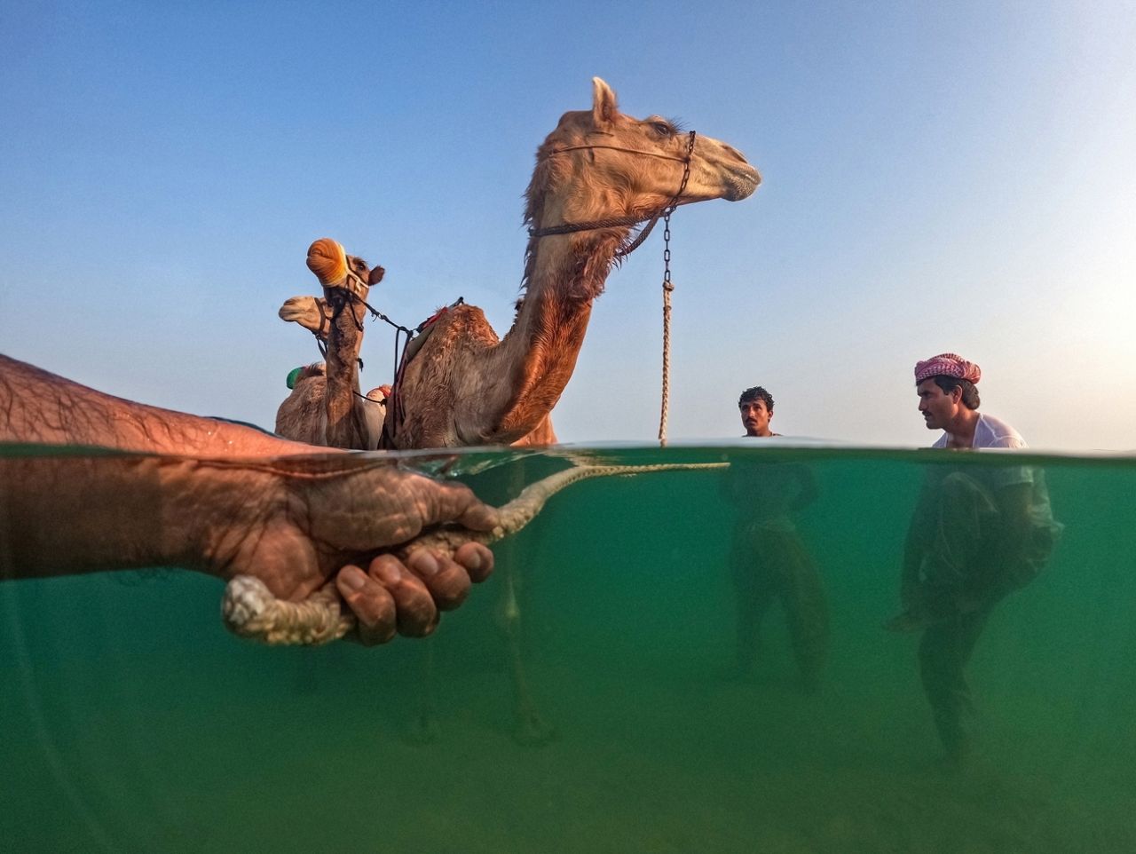 Źródło: Shyjith Onden Cheriyath / Siena Photo Awards