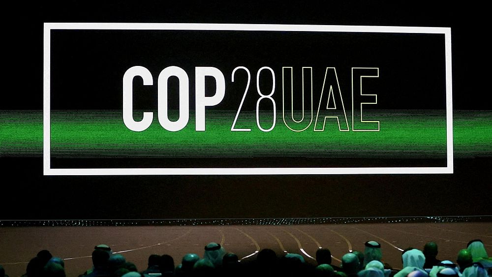 COP28: Które kraje UE wzywają blok do zażądania wycofywania paliw kopalnych?