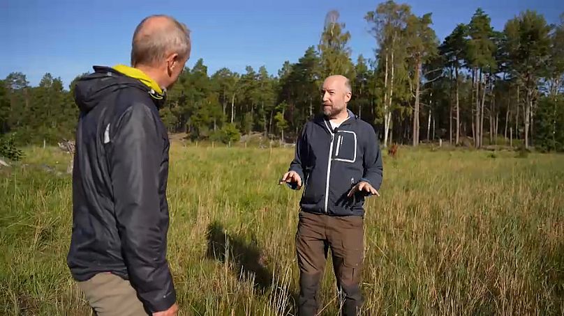 David Bastviken, profesor zmian środowiskowych, Uniwersytet w Linköping