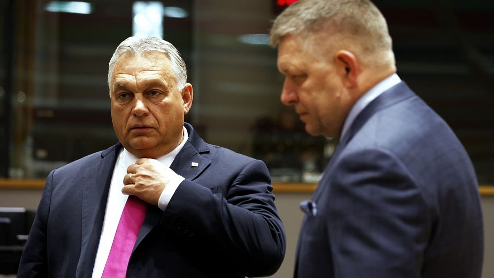 Orbán sprzeciwia się planowi wsparcia UE dla Ukrainy na kwotę 50 miliardów euro, natomiast Fico wyraża obawy dotyczące korupcji