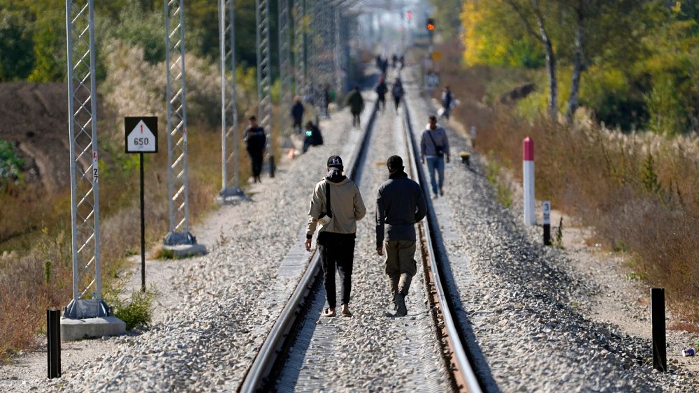 Trzy osoby nie żyją po strzelaninie do migrantów na granicy serbsko-węgierskiej