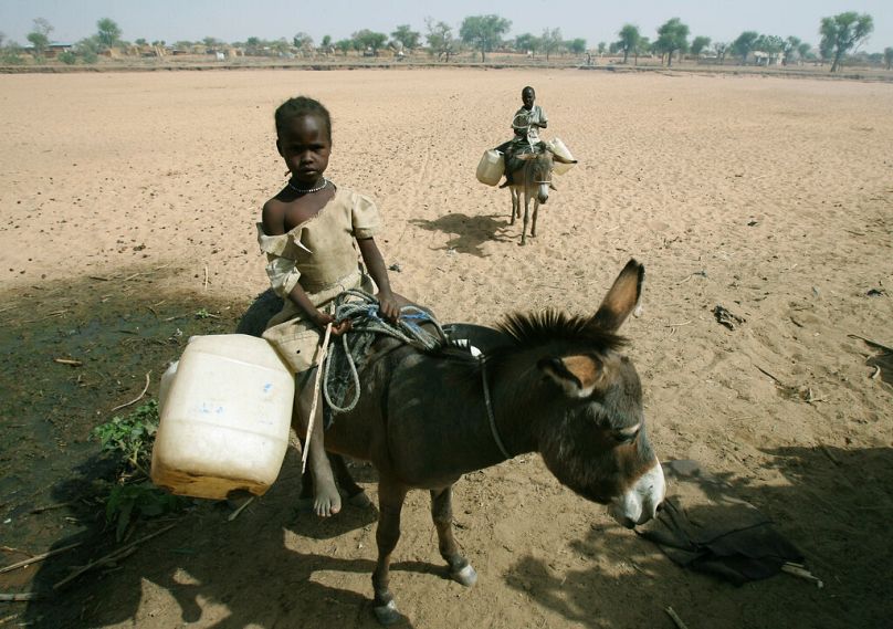 Sudanka jedzie na osiołku po zapasy wody w mieście Mukjar w zachodnim Darfurze, kwiecień 2007
