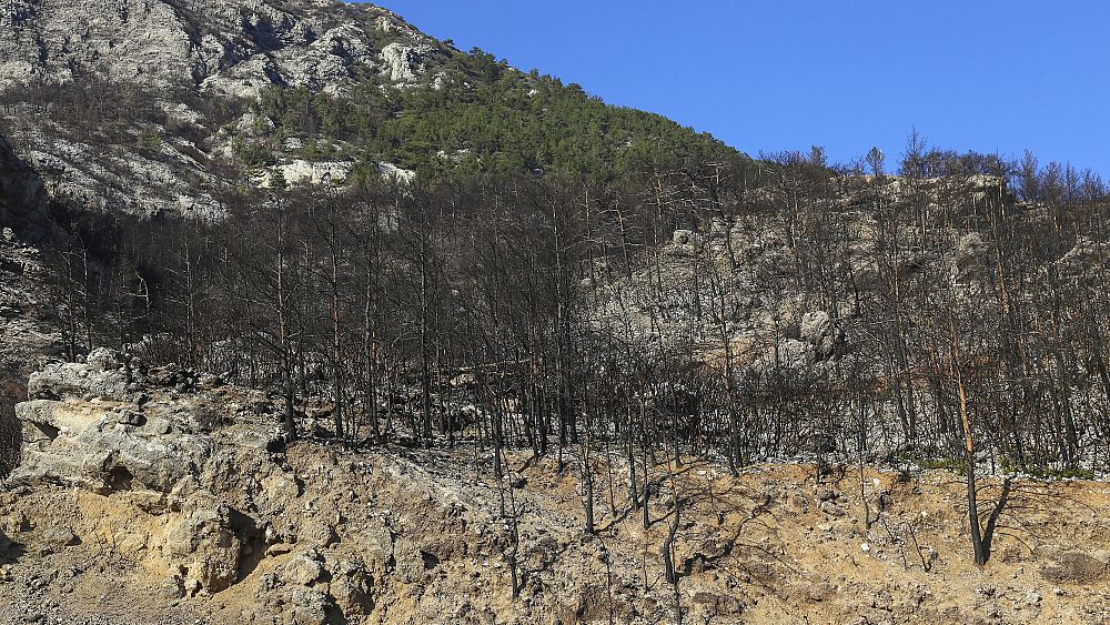 Rosnące temperatury i coraz więcej ekstremalnych zjawisk pogodowych: jak radzi sobie europejska branża turystyczna?