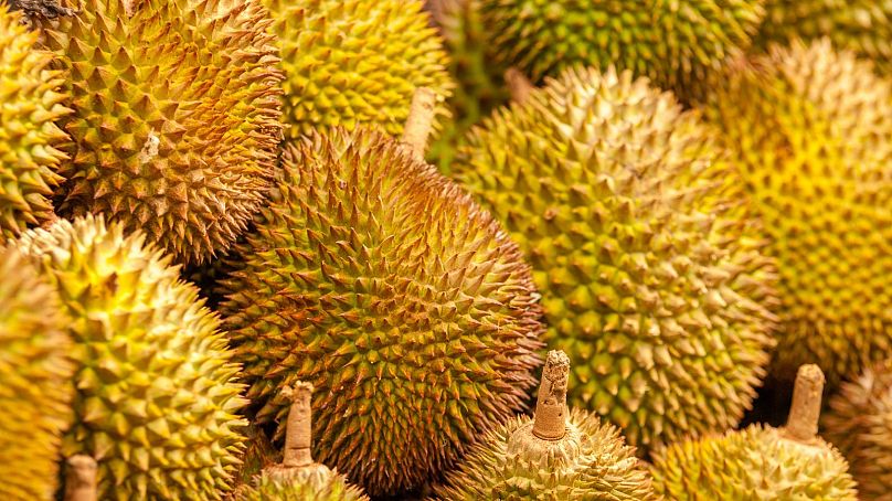 Chociaż jego zapach może nie być najbardziej atrakcyjny, durian jest uważany za przysmak, którego trzeba spróbować.  Turyści albo to pokochają, albo znienawidzą.