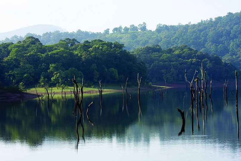 Thekkady to jedna z wiosek oferujących turystom zakwaterowanie u rodziny goszczącej.