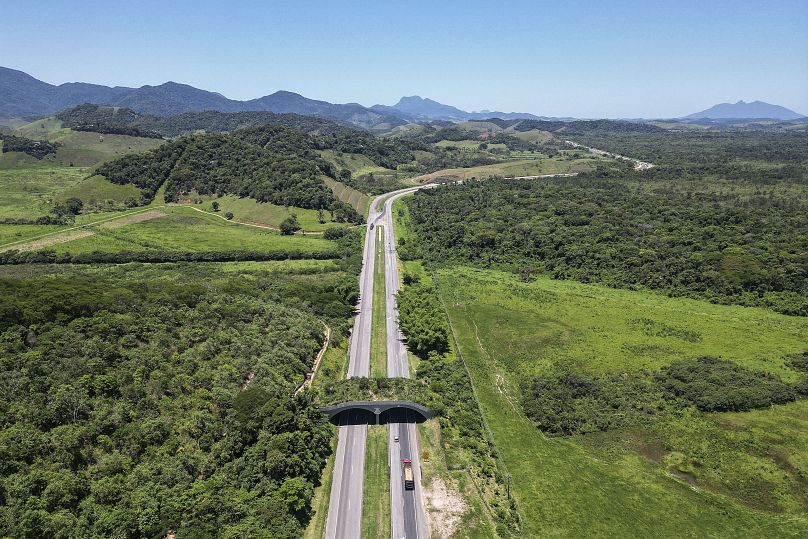 Widok z lotu ptaka na korytarz ekologiczny umożliwiający zwierzętom przekraczanie autostrady w Silva Jardim w Rio de Janeiro.