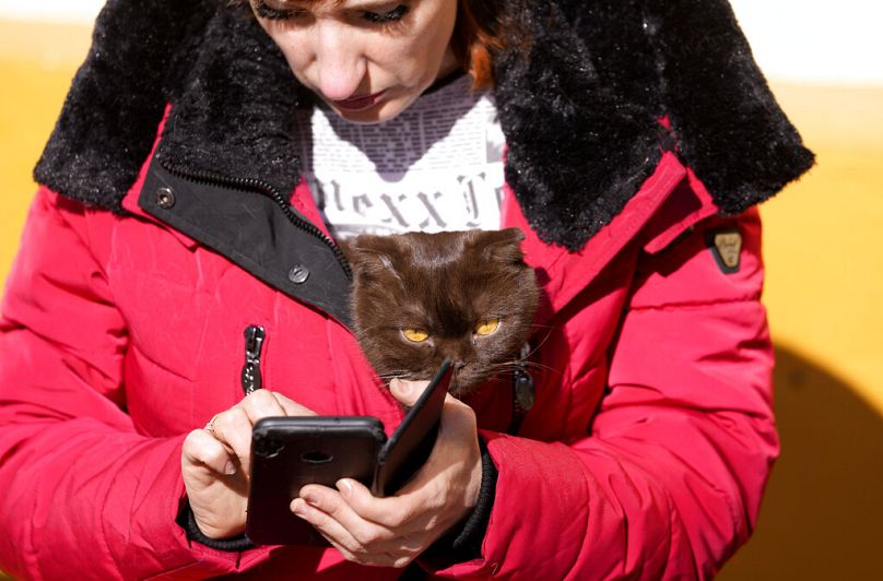 Kobieta z kotem w kurtce sprawdza telefon komórkowy podczas odpoczynku w ośrodku dla przesiedleńców uciekających z Ukrainy, w Beregsurany, marzec 2022 r.