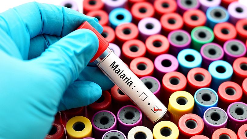 Fiolka zawierająca pasożyty malarii