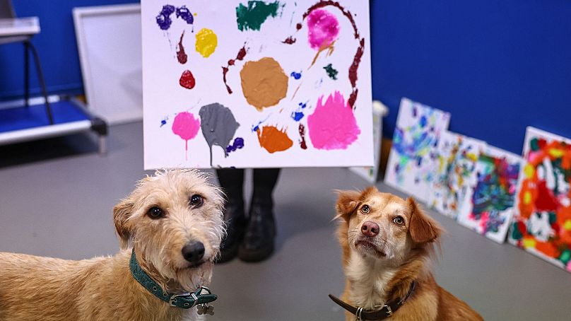 Były psy ratownicze Alba i Rosie pozują z obrazem, który pomogły stworzyć, w Bristol Animal Rescue Center w Bristolu w zachodniej Anglii, 23 listopada 2023 r.
