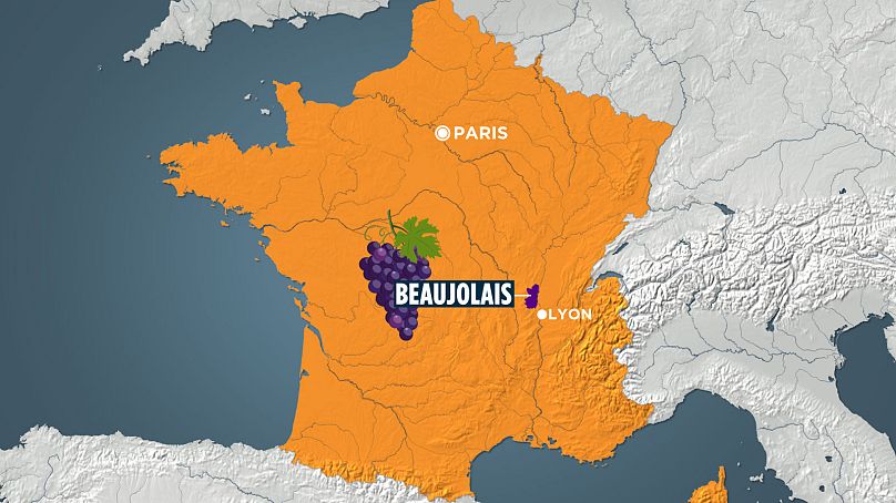 Region Beaujolais położony jest tuż nad Lyonem, francuską stolicą gastronomii i jest siedzibą siedziby Euronews.