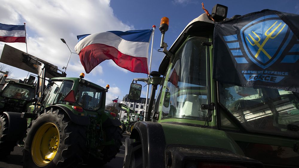 Cel redukcji azotu okazał się kontrowersyjny dla rolników podczas wyborów w Holandii