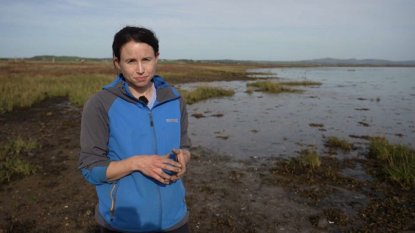 Grace Cott, ekolog przybrzeżnych terenów podmokłych, University College Dublin
