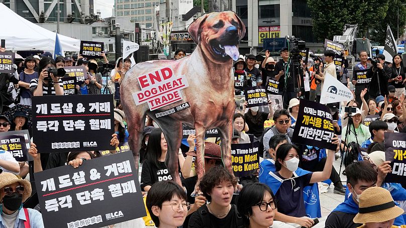 Działacze na rzecz praw zwierząt organizują wiec sprzeciwiający się tradycyjnej kulturze Korei Południowej polegającej na jedzeniu psiego mięsa, Seul, Korea Południowa, 8 lipca 2023 r.