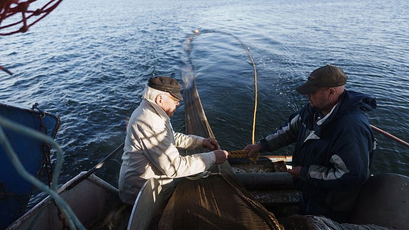 Rybacy śledziowi Holger Sjogren (po lewej) i Jan Sjogren opuszczają sieć rybacką ze swojej łodzi w pobliżu Kotki w południowej Finlandii, 10 października 2023 r.