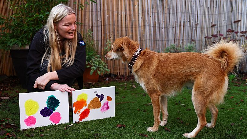 Jodie Bennett, specjalistka ds. społeczności i zaangażowania w Bristol Animal Rescue Centre pozuje ze swoim byłym psem ratowniczym Albą.