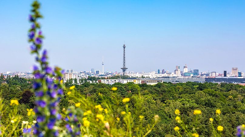 Grunewald to największy zielony teren w Berlinie.