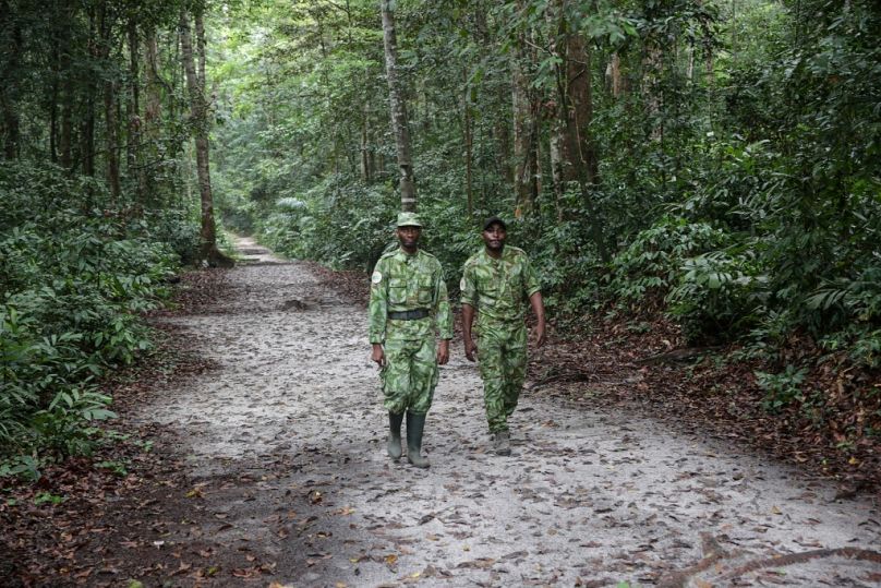 Dwóch leśników spaceruje drogą w lesie Akanda, parku narodowym kilka kilometrów od centrum stolicy, Libreville, wrzesień 2019