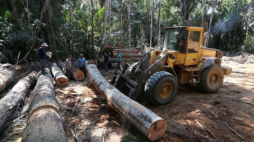 Pracownik obsługuje traktor na obszarze wylesiania Bom Retiro po prawej stronie autostrady BR 319 w pobliżu Humaita, stan Amazonas, Brazylia, wrzesień 2019 r.