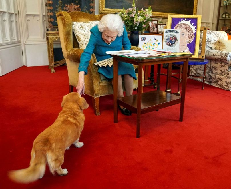 Nieżyjąca już królowa Wielkiej Brytanii Elżbieta II w wieku 95 lat głaska Candy, swojego psa Dorgi