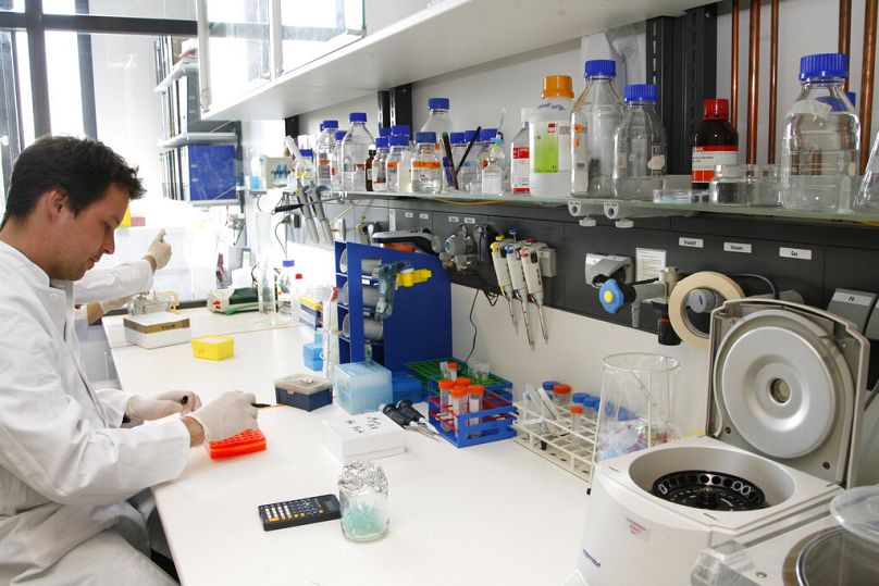 Badania embrionalnych komórek macierzystych (komórek ES) w Niemieckim Instytucie Neurobiologii Rekonstrukcyjnej na uniwersytecie w Bonn, kwiecień 2009
